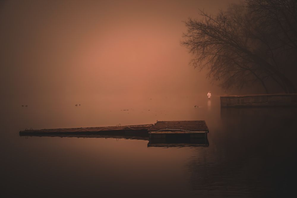 Photograph by Алексей Шевченко