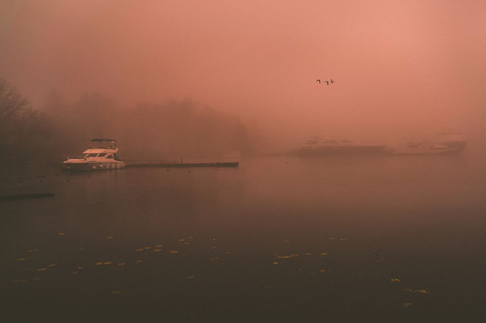 Photograph by Алексей Шевченко