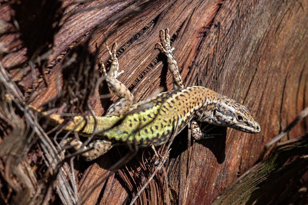 Photograph by Francisco José López Fernández