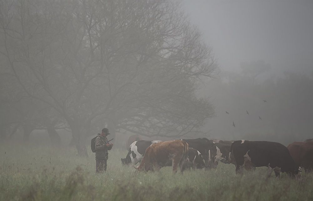 Photograph by Анастасия Горян