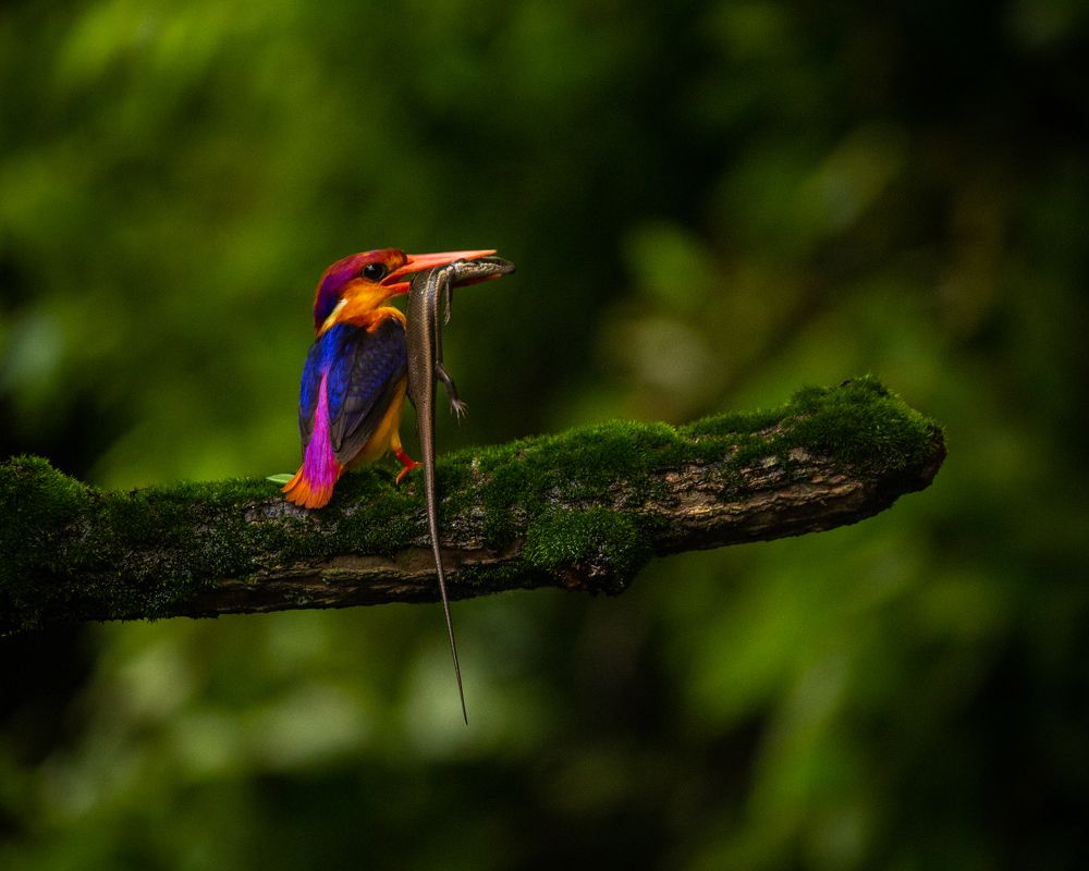 Photograph by Shreyas Patil