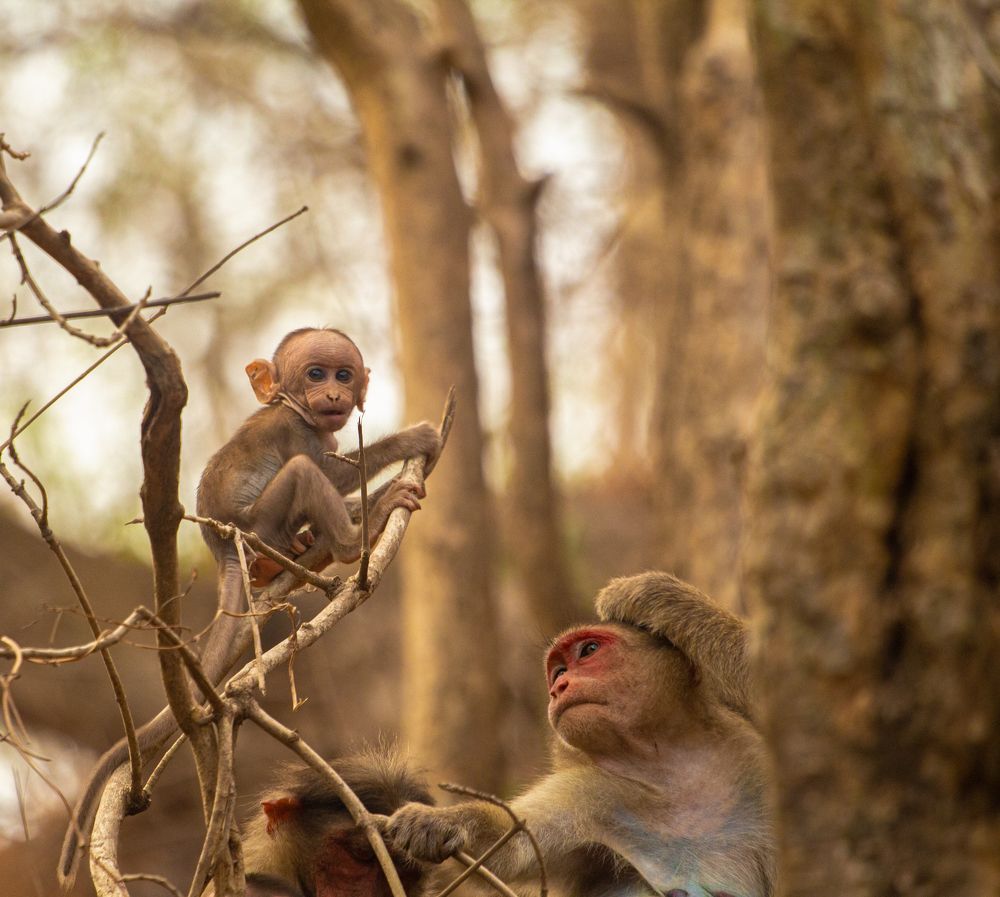 Photograph by Shreyas Patil