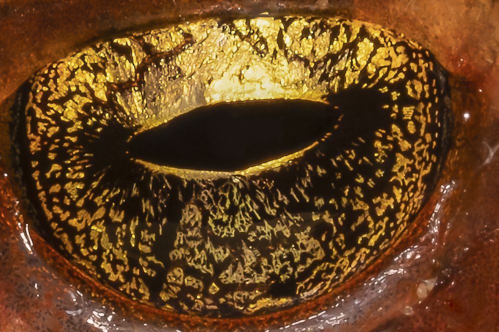 Photograph by Claudia Moraes