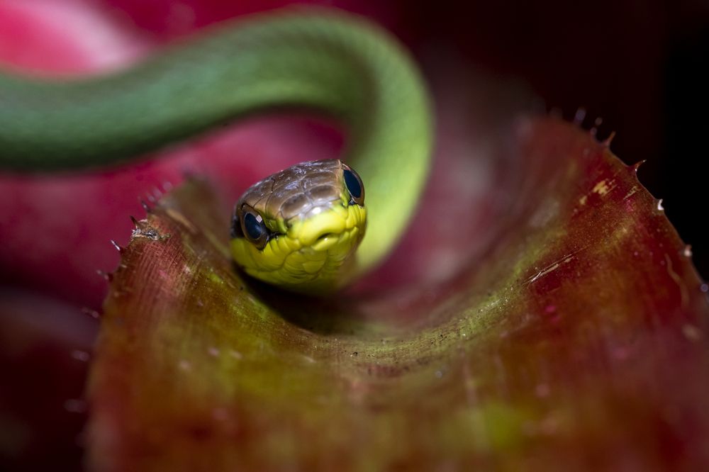 Photograph by Claudia Moraes