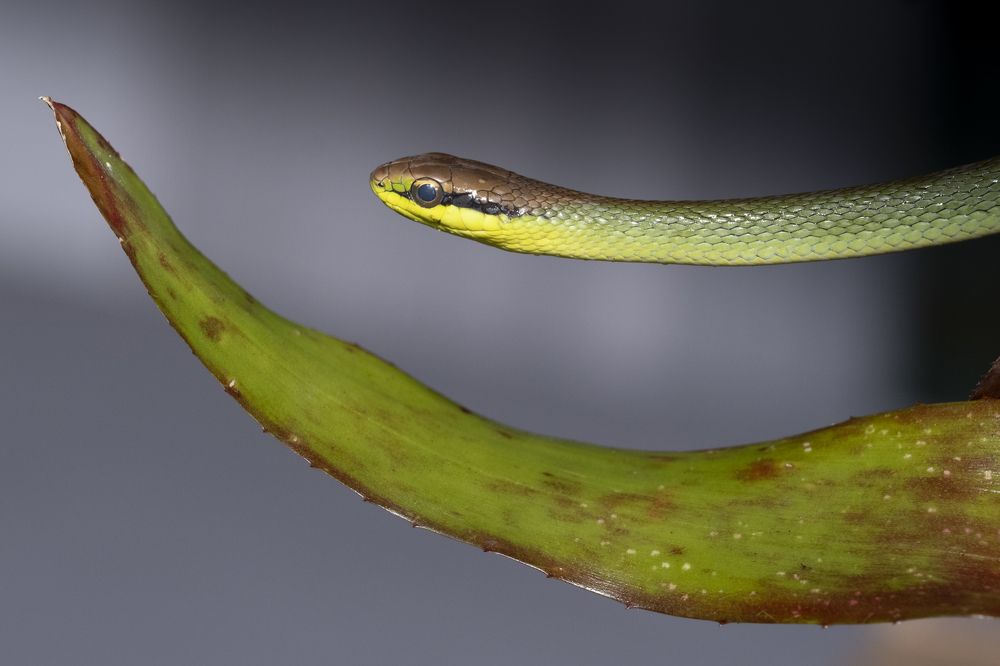 Photograph by Claudia Moraes