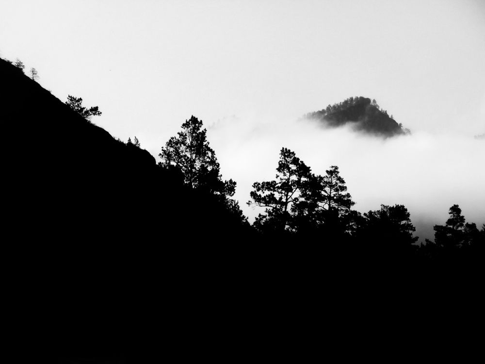 Photograph by Александра Петрова