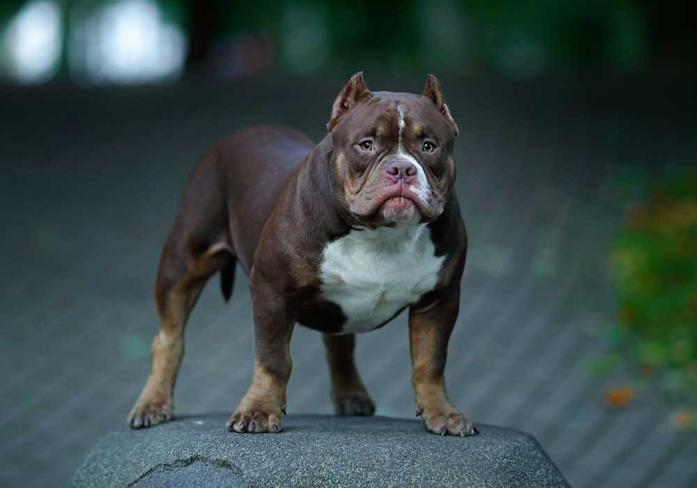 Photograph by Евгений Асеев