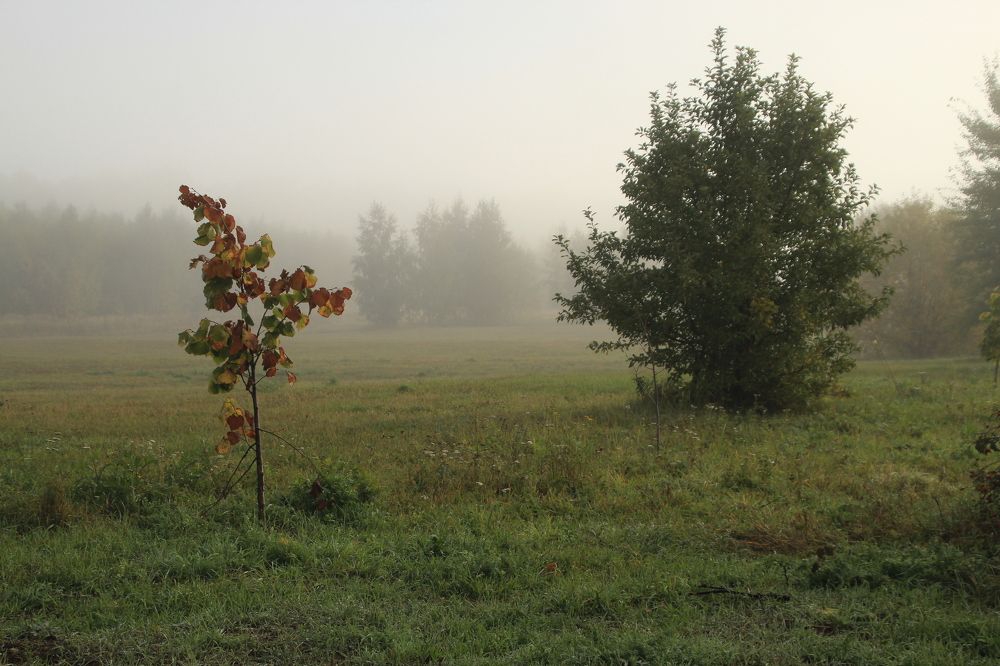 Photograph by Илья Беликов