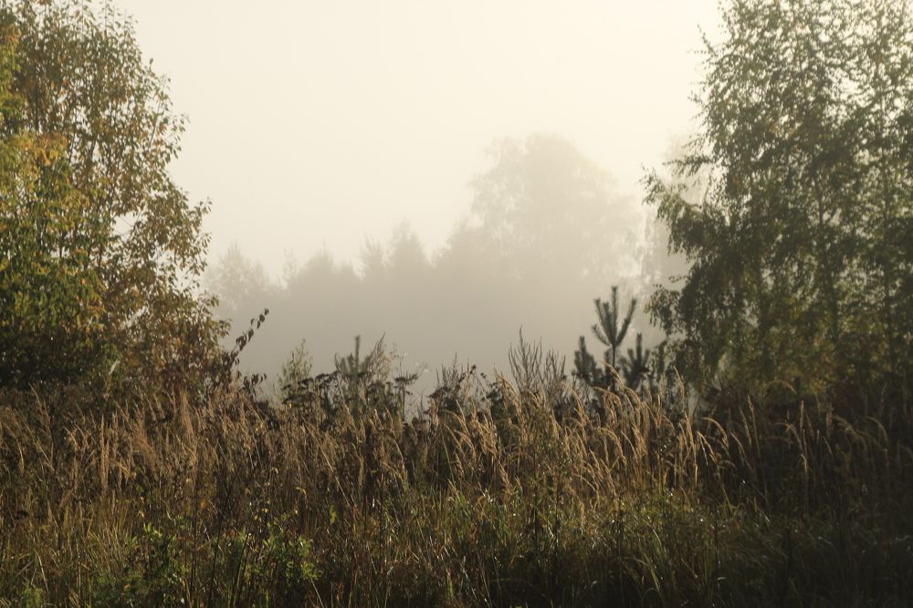 Photograph by Илья Беликов