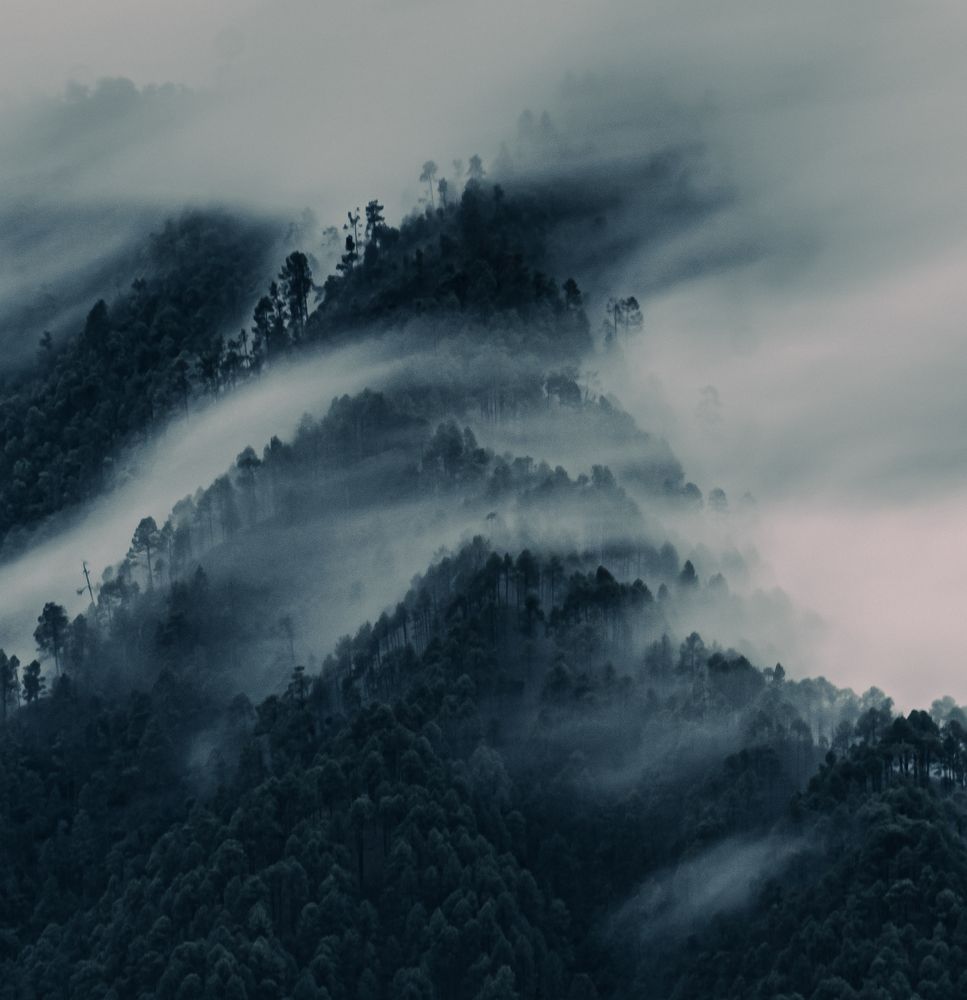 Фотография автора digvijay singh janoti