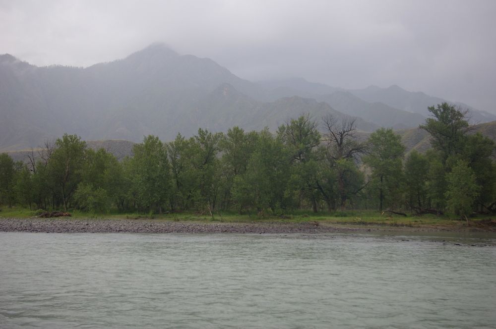 Photograph by Елена Алешкевич