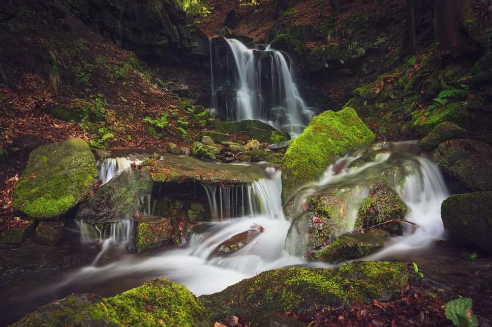 Photograph by Martin Nadymáček