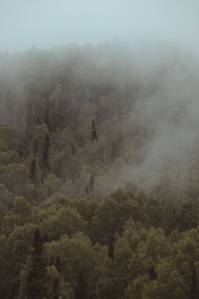 Photograph by Виктория Маркова