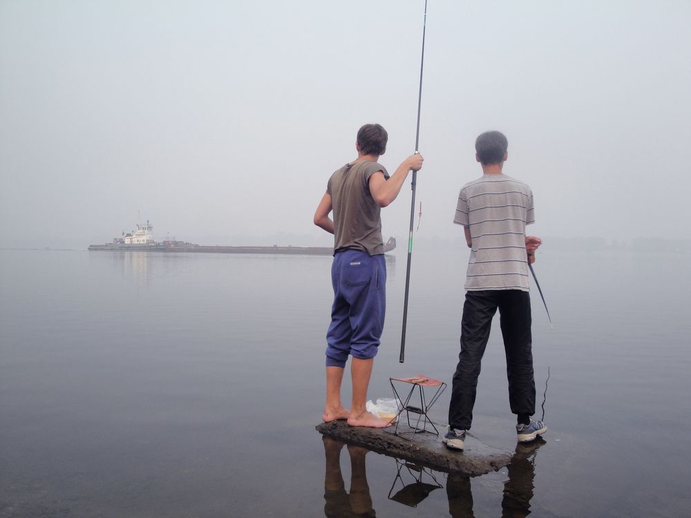 Тишина, туман и чайки...