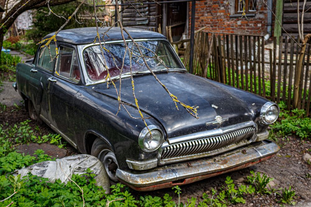 Photograph by Вячеслав Борисенко