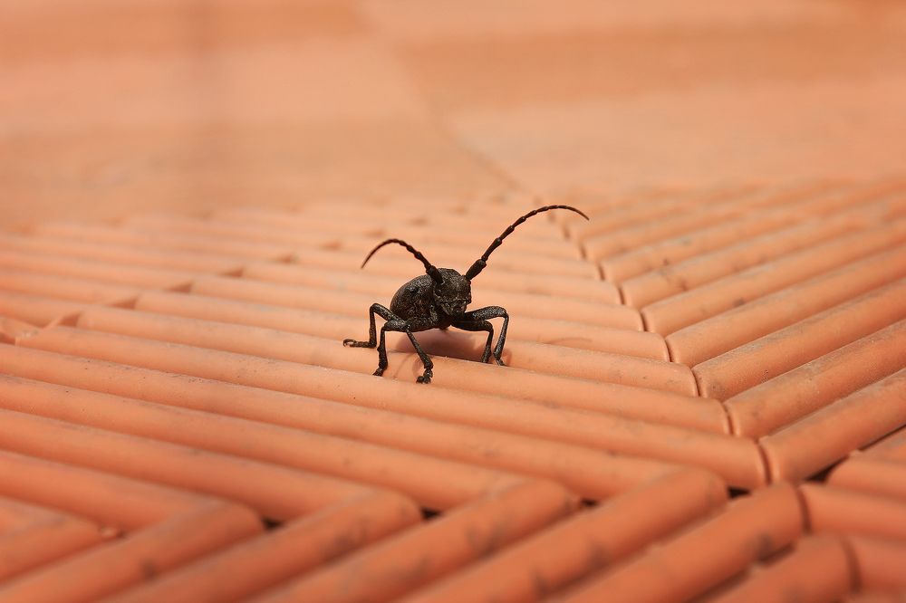 Photograph by Nikitina Yuliya