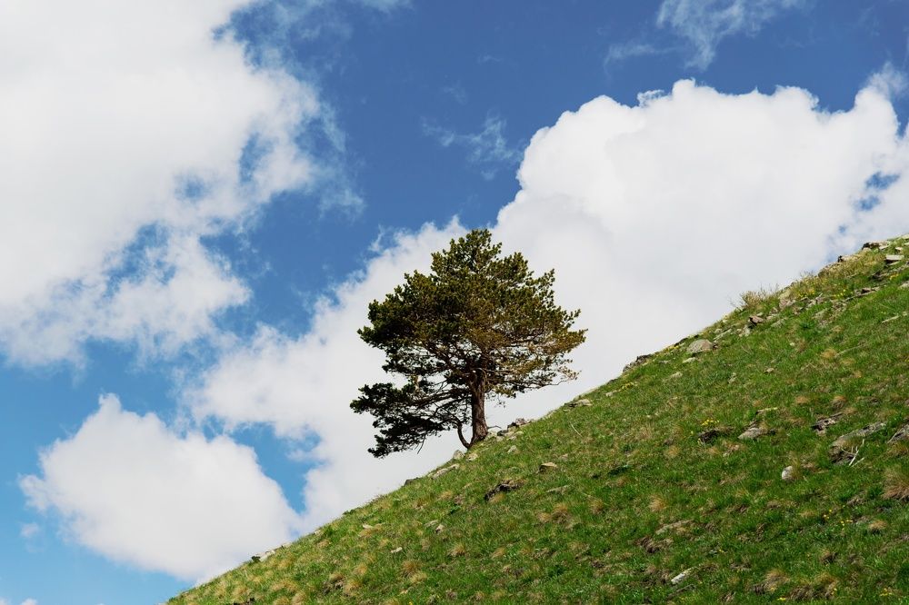 Photograph by Екатерина