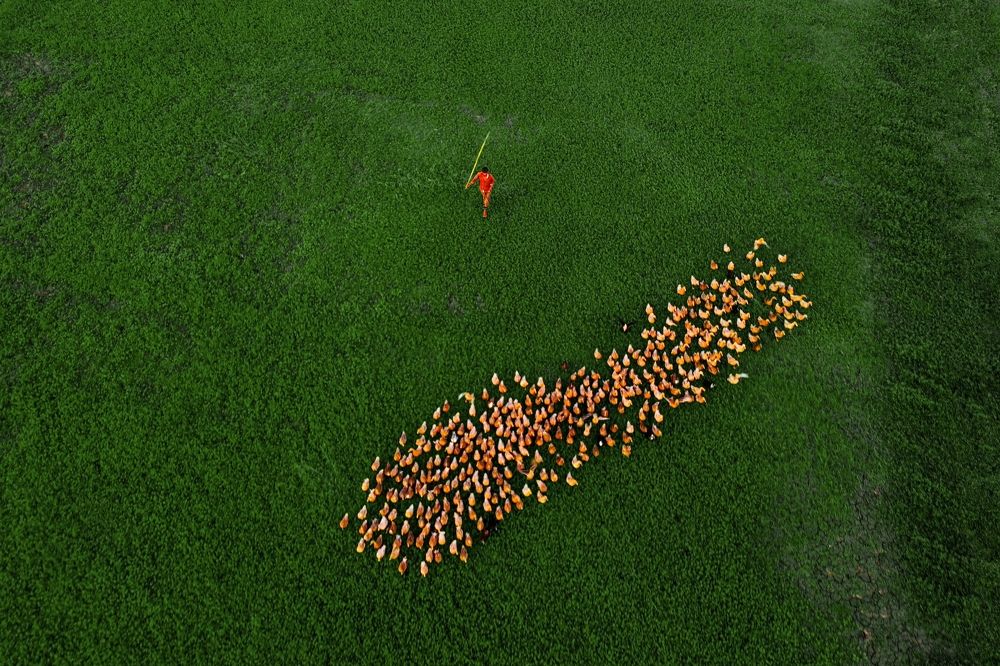 Photograph by Kayes Md Imrul