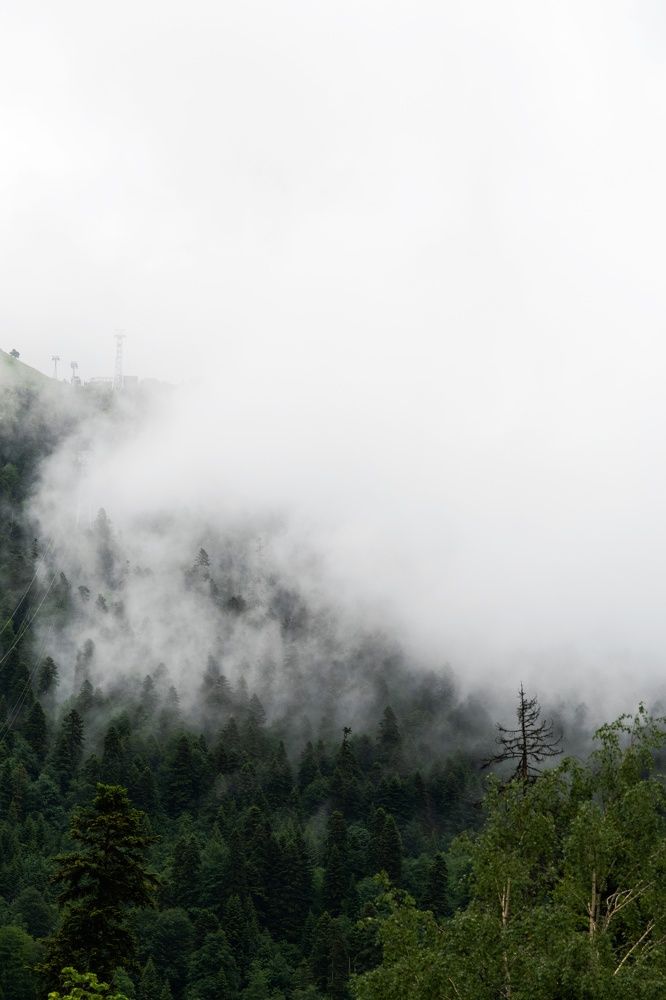 Photograph by Екатерина