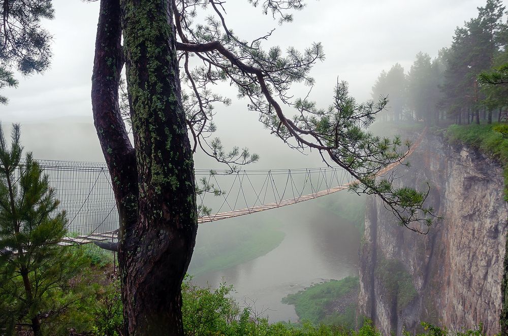 Photograph by Надежда Колеватова