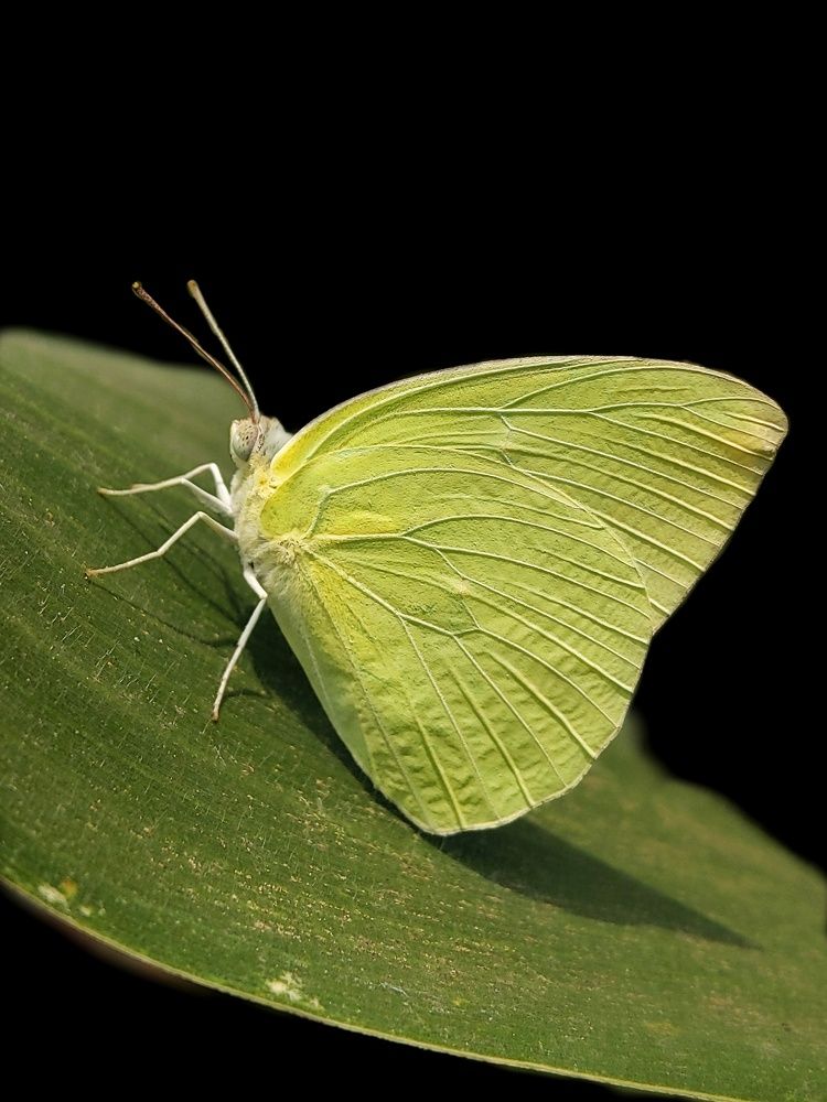 Photograph by Sai Krishna