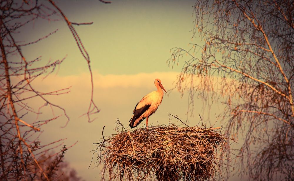 Photograph by Николай Яковлев