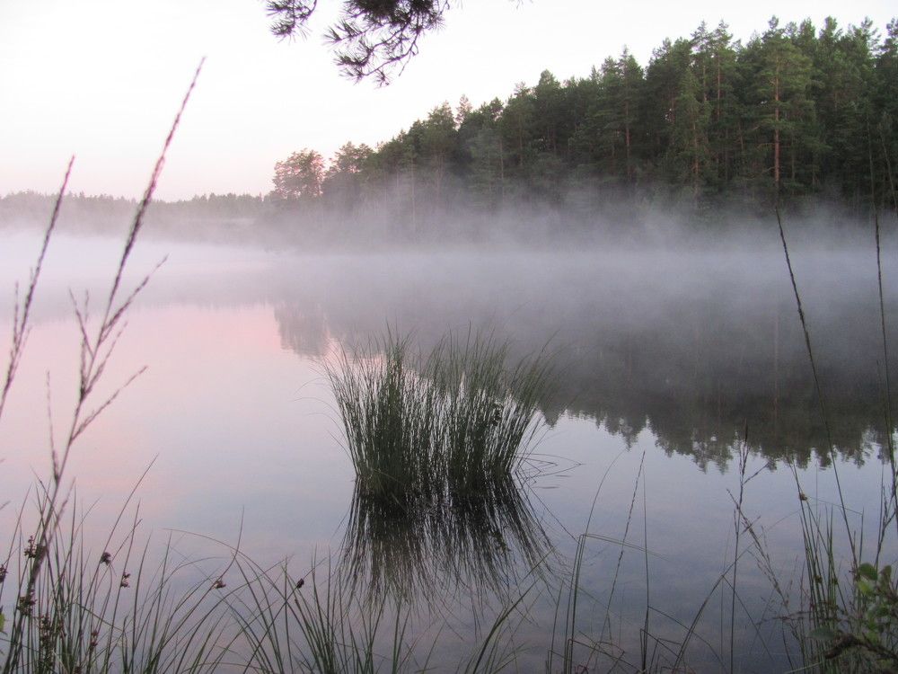 Photograph by Юлия