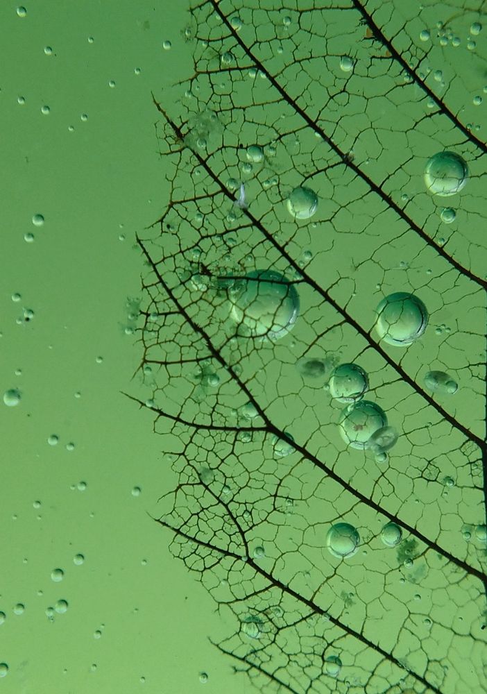 Кислород в лёгких