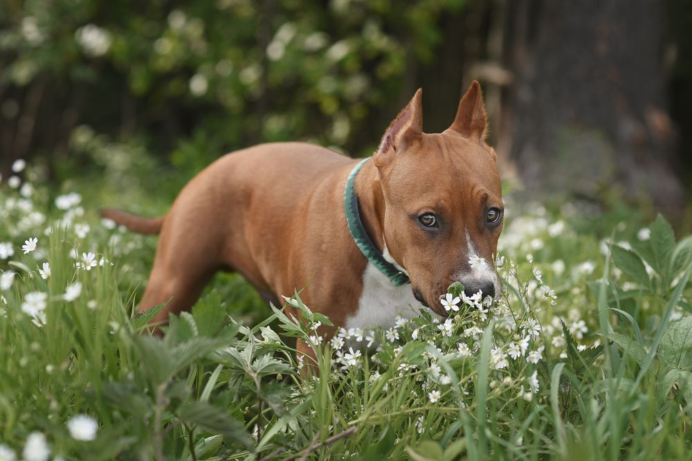 Почему нельзя?