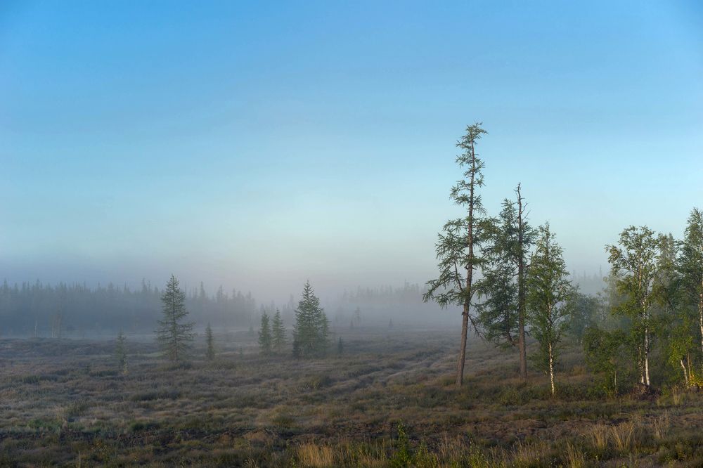 Photograph by Дмитрий Цыпляев