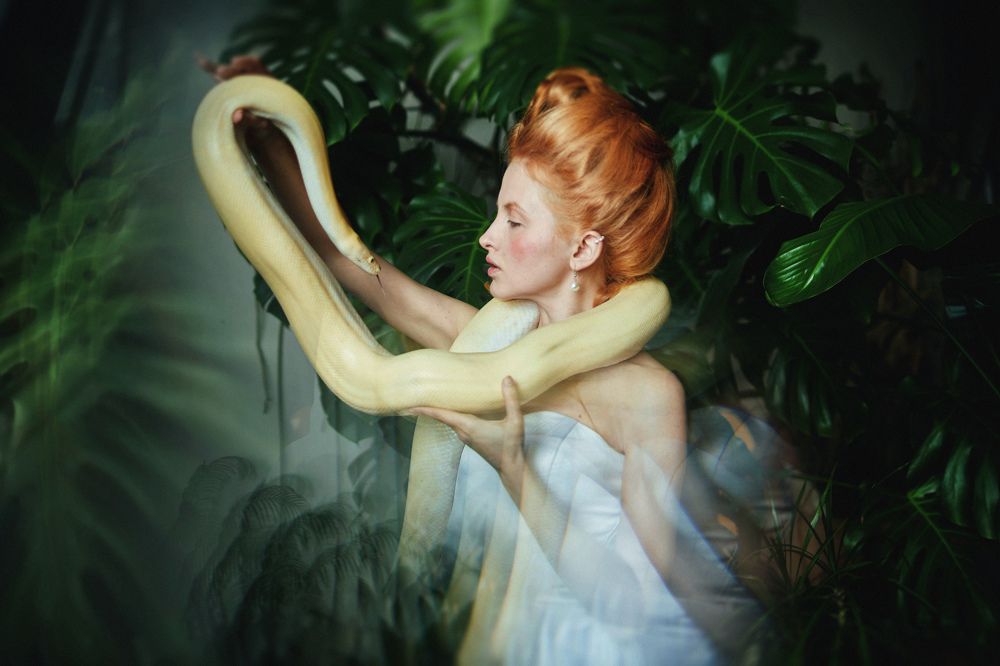 холодные объятья