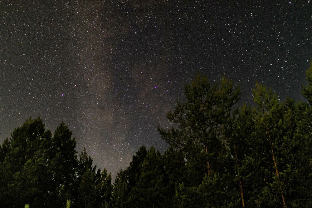 Photograph by Dmitriy Konstantinov