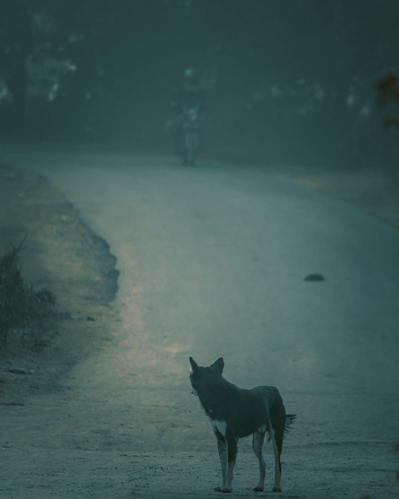 Photograph by Chiranjit Dey