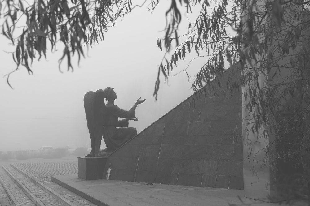 Фотография автора Колосова Елена