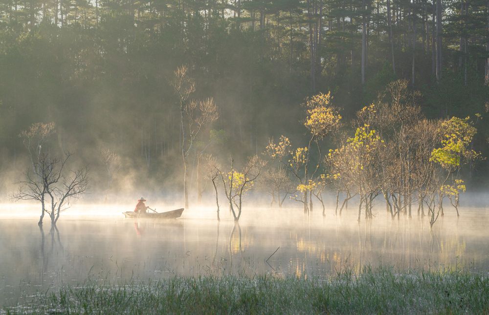 Photograph by minh nguyễn
