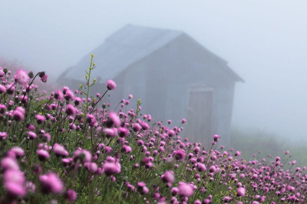 Photograph by Mohammad reza Falah