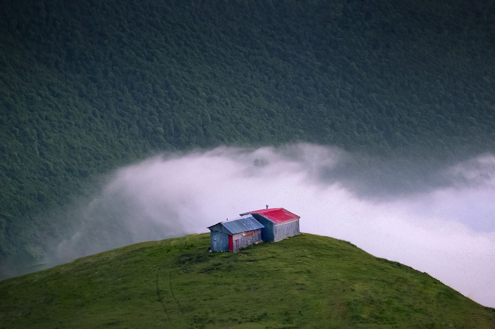 Photograph by Mohammad reza Falah