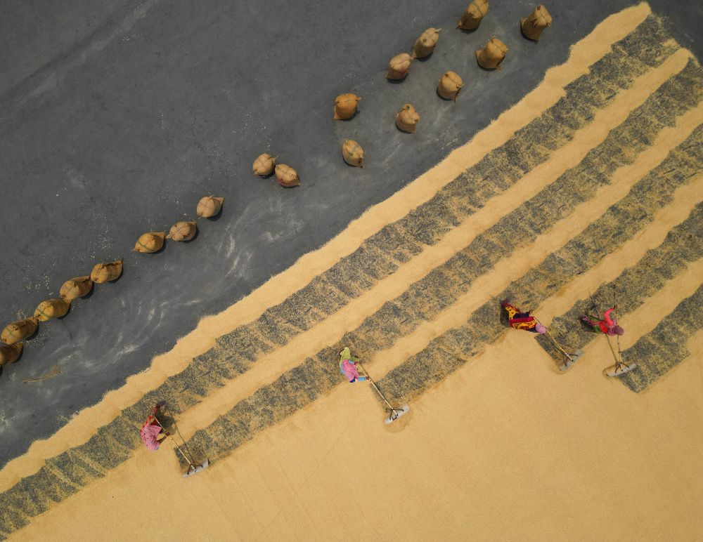 Photograph by Shounak Pal