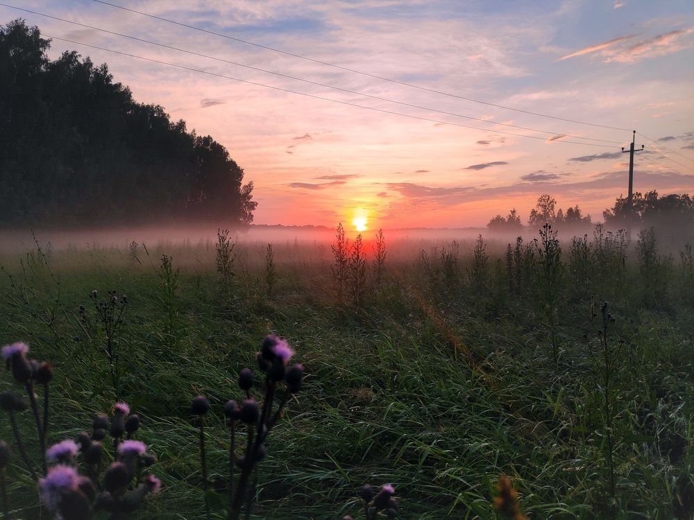 Photo #9151452