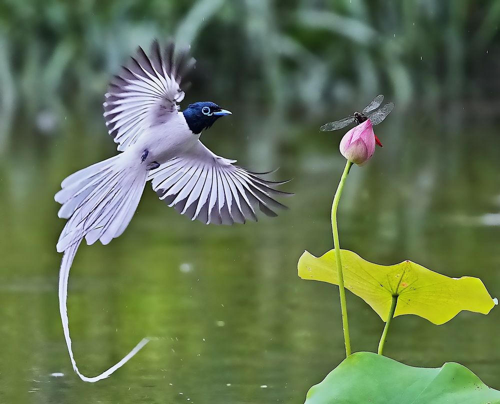 Photograph by Kan Chung Wong