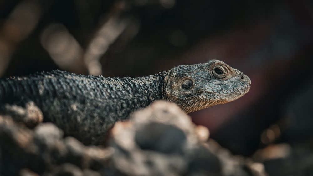 Photograph by Антон Дроздов