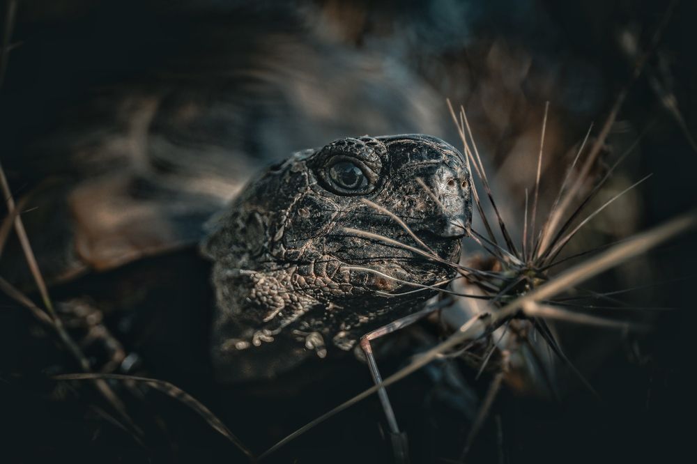 Photograph by Антон Дроздов