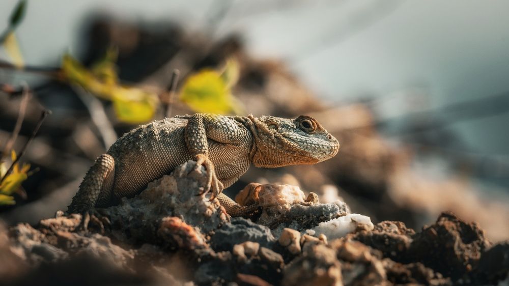 Photograph by Антон Дроздов