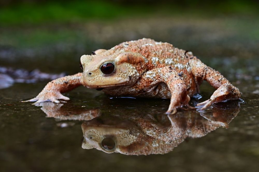 Photograph by Светлана Ивановна