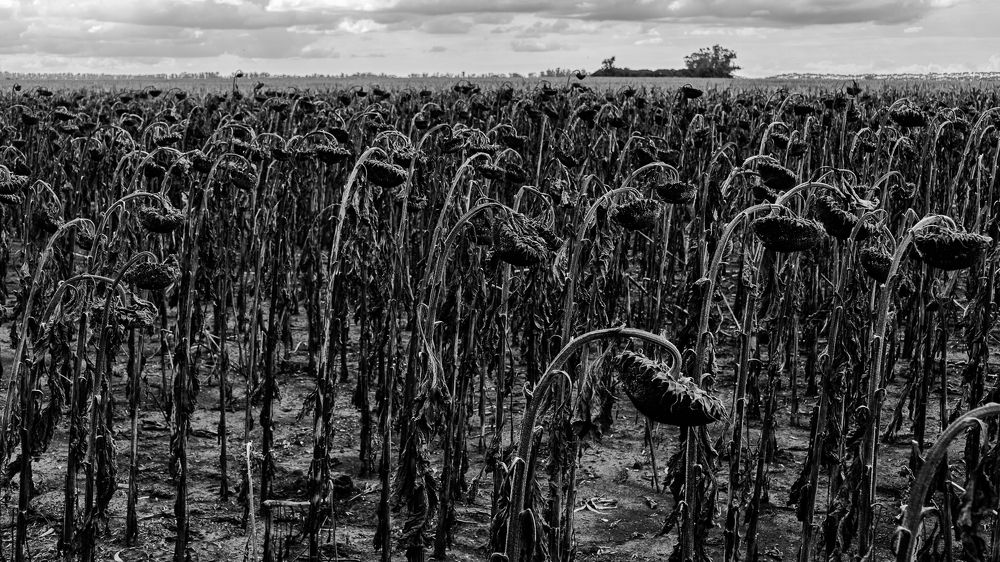 Photograph by Gustavo Moroz