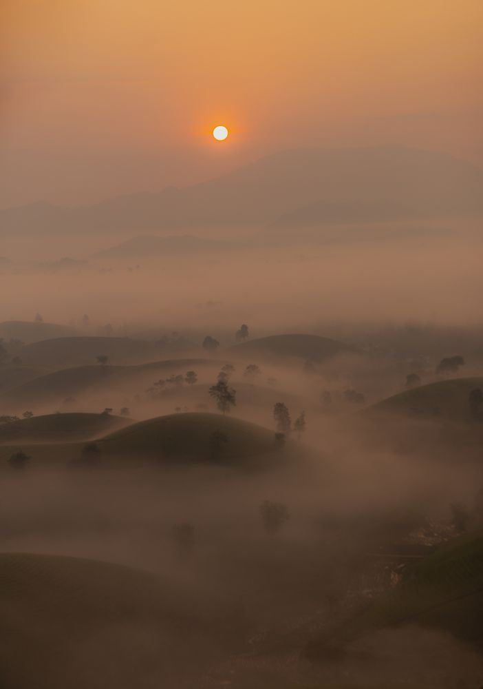 Photograph by Lai bich lien