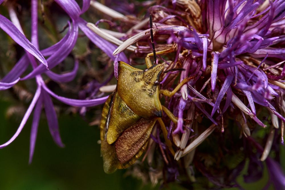 Фотография автора Игорь Игоревич