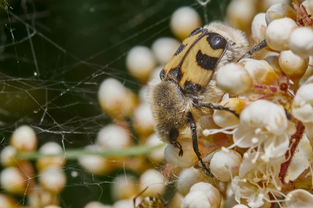 Фотография автора Игорь Игоревич
