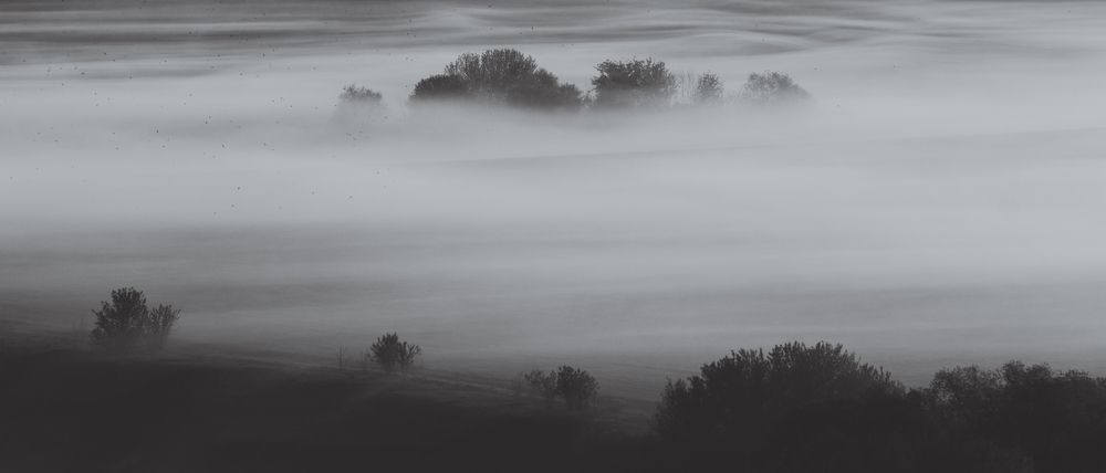 Photograph by Степан Ковыльчик