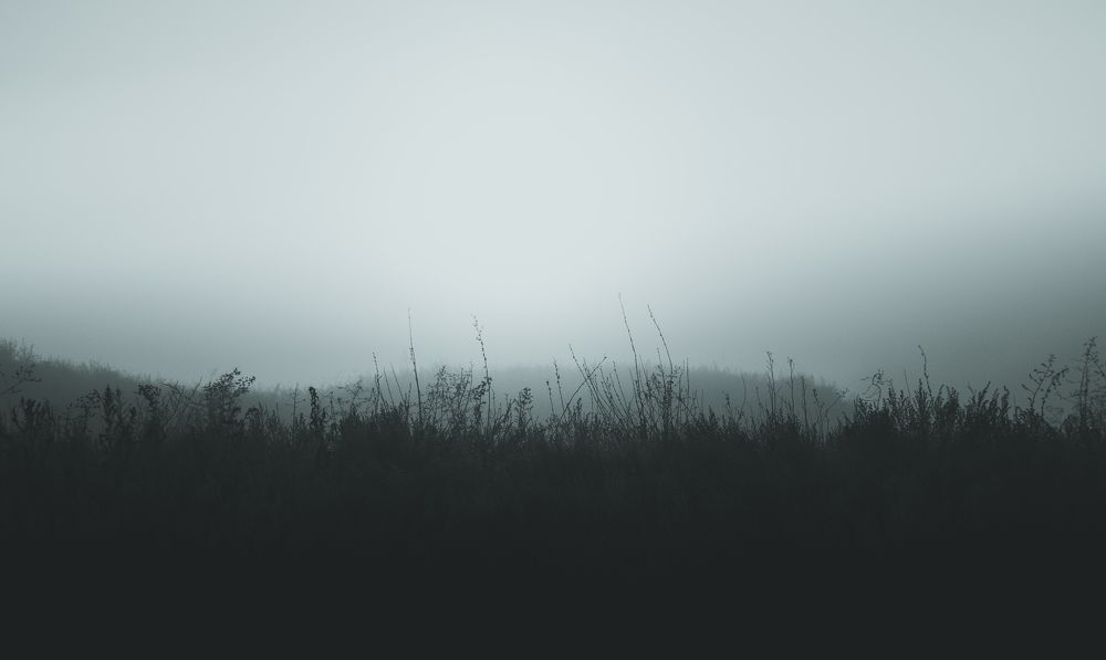 Photograph by Степан Ковыльчик